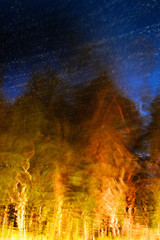 Obraz na płótnie Canvas Trees reflecting in the water