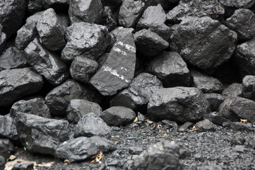 Coal