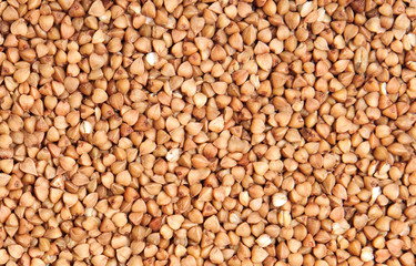 buckwheat;