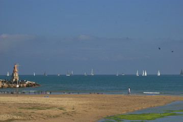 foce del torrente Albula