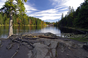 Naturparadies - Großer Arbersee