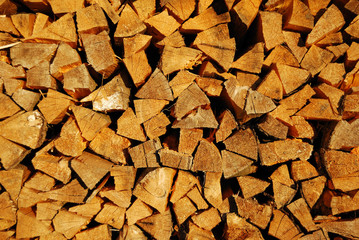 Fur-tree fire wood in a woodpile