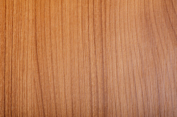 Pattern of wood - can be used as background