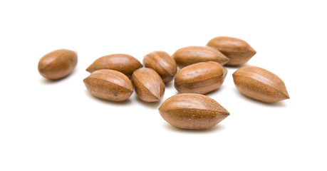 pecan nuts scattered; isolated; on white background;