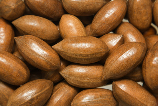 ripe pacan nuts background;