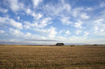Campo dopo la mietitura