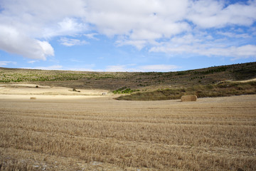 Campo dopo la mietitura