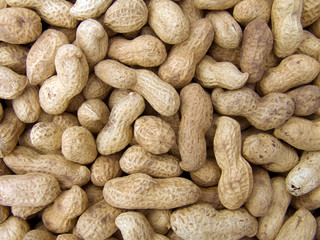 peanut background