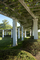 Arlington National Cemetery