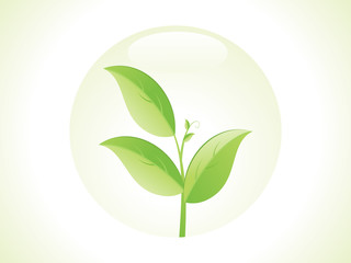 abstract eco leaf