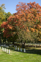 Naklejka premium Arlington National Cemetery