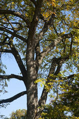 Couleurs d'automne
