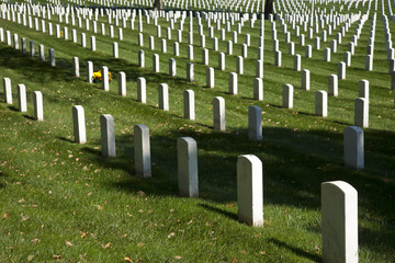 Arlington National Cemetery