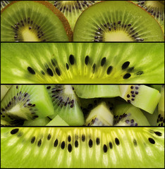 Kiwi collage