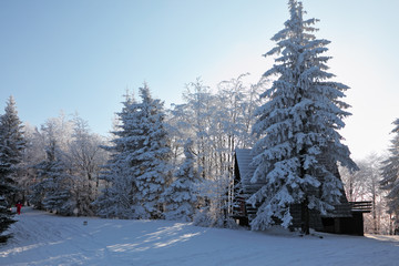 Skier in a red track suit in the Tatras