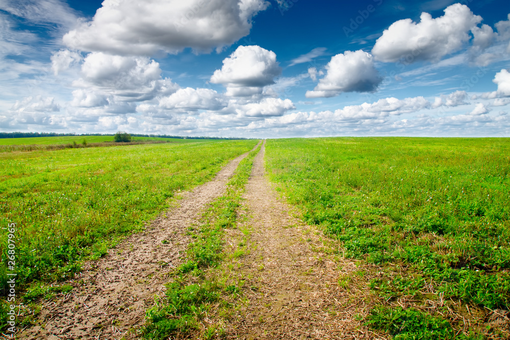 Canvas Prints Green field under midday sun