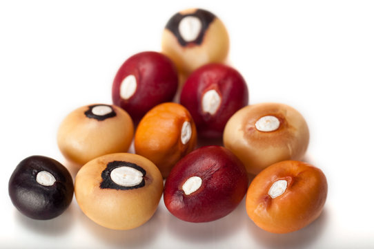 Jugo Beans