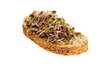 China Rose Radish on Bread