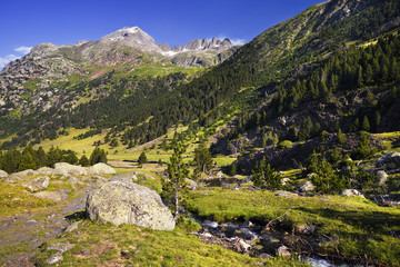 Pirineos. Valle de Benasque