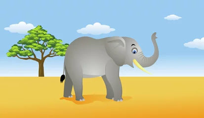 Cercles muraux Zoo Éléphant à l& 39 état sauvage