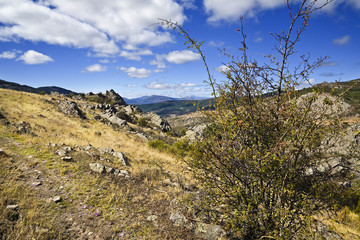 Sierra Norte. Madrid