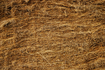 hay