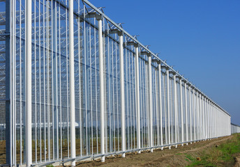 Fototapeta premium serre maraîchère