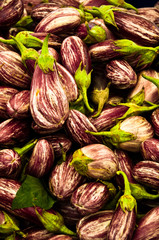 Fototapeta na wymiar Eggplants