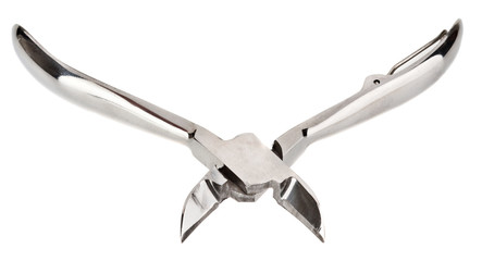 Metal manicure nippers isolated on white