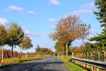 Naklejka premium leere landstraße