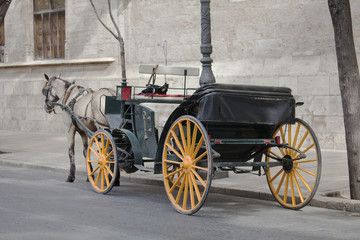 Fototapeta premium coche de caballos
