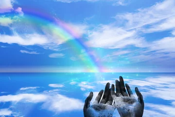 Hochauflösender Regenbogen © rolffimages