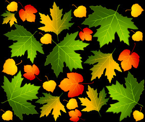 Autumnal seamless background with leaves.