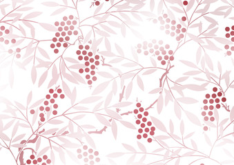 グラフィックプランツ