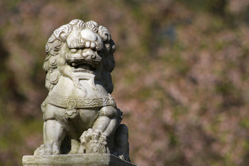 Fototapeta na wymiar asiatische Löwenstatue