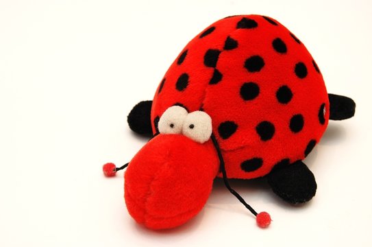 animale finto- coccinella