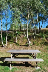 Naklejka premium Picnic area