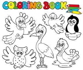 Coloring book with cute birds 1