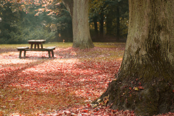 Herbsttag