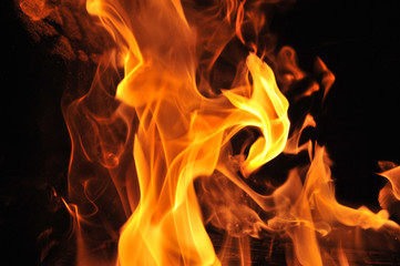 Fototapeta premium Feuer