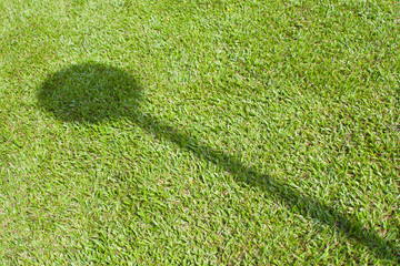 Shadow on the grass field