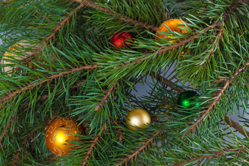 Fototapeta na wymiar Christmas fir with decoration