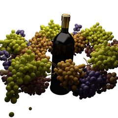 uva vino vendemmia