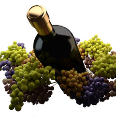 uva vino vendemmia