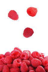 Ripe red raspberries