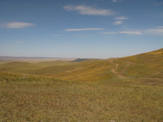 Fototapeta premium Mongolia (steppe)