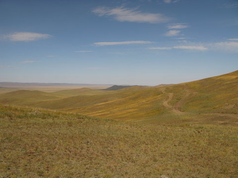 Mongolia (steppe)