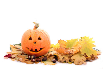 Halloween Pumpkin on Fall Leaves