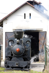 Fototapeta na wymiar steam locomotive, Ciernohronska Railway, Slovakia