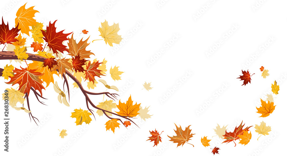 Wall mural maple leaves